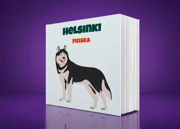 Korice Loom albuma Helsinki — Nordijski mir Helsinkija